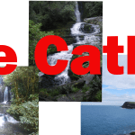 The Catlins