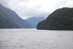 Doubtful Sound