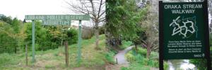 Oraka Stream Walkway