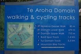 Te-Aroha-walking-tracks